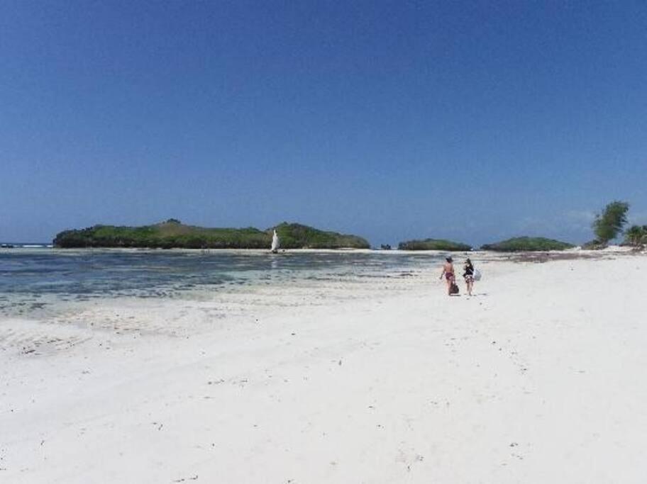 White Villa - Paparemo Beach Watamu Eksteriør bilde
