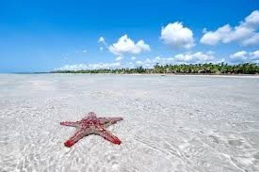 White Villa - Paparemo Beach Watamu Eksteriør bilde
